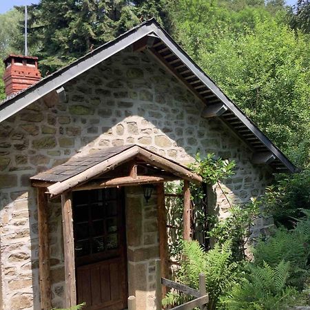 Woodland Cottage Faux-la-Montagne Exteriör bild